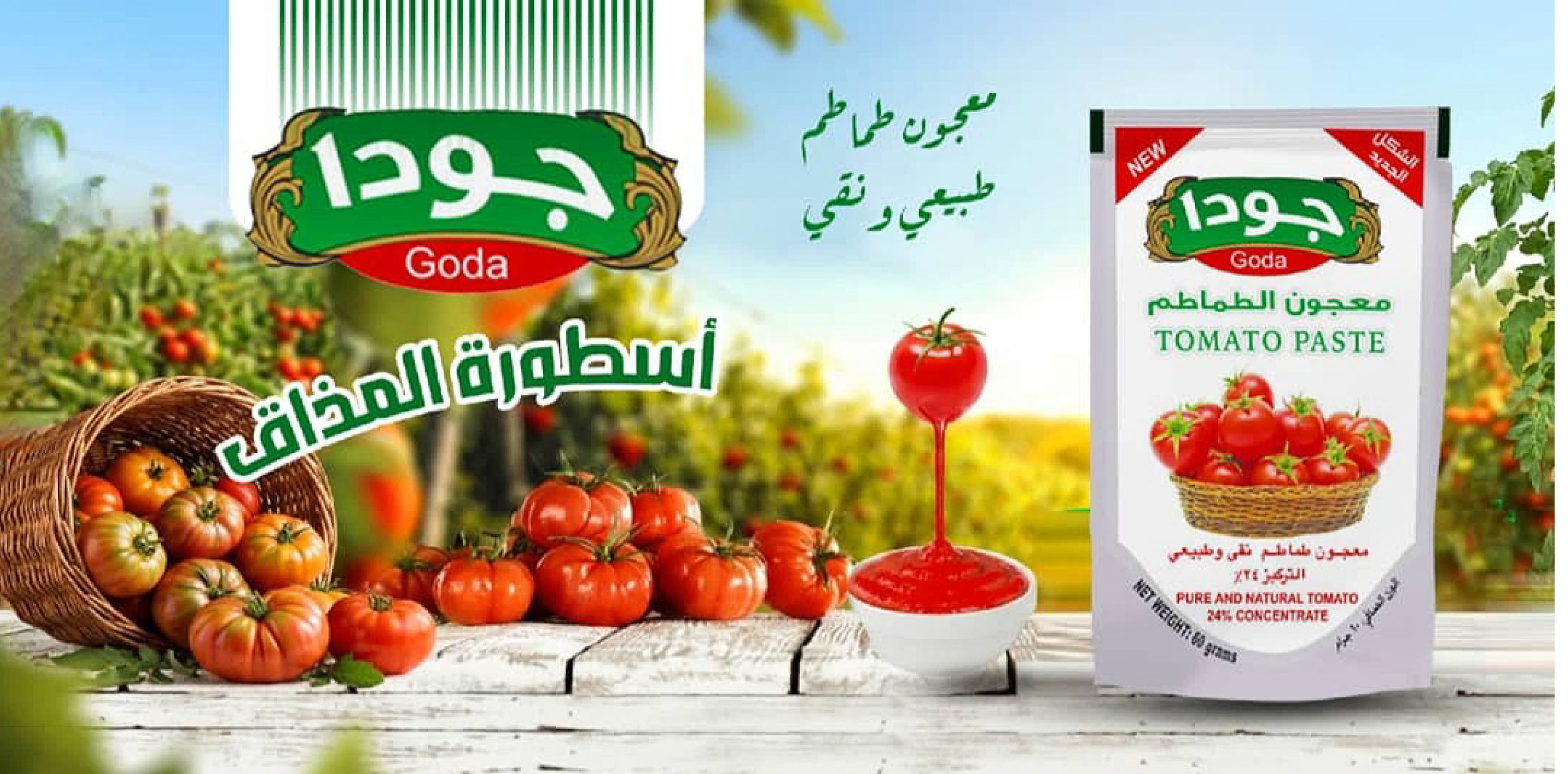 صلصة الطماطم